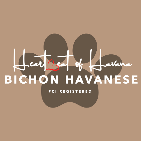 Heartbeat of Havana kennel logo